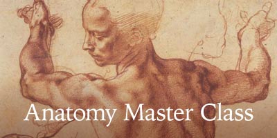 Anatomy Master Class